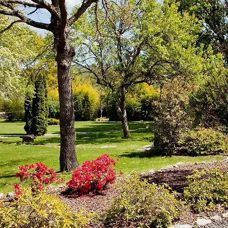 Jardines Pazo A Fabrica * Celanova