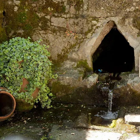 Jardines Pazo A Fabrica
