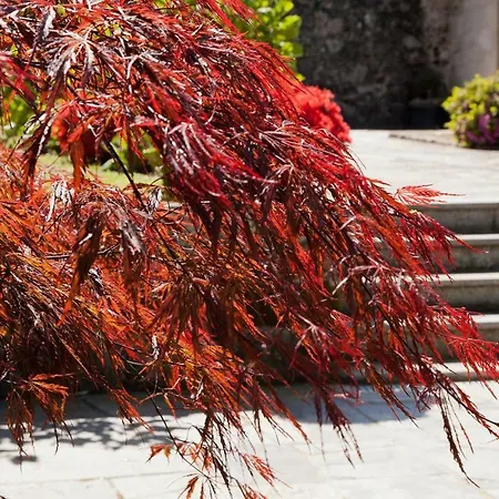 Jardines Pazo A Fabrica *