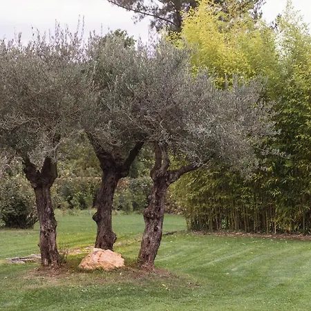 Jardines Pazo A Fabrica